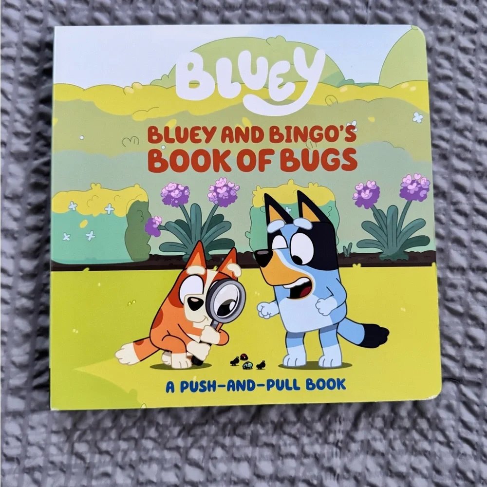 ⚠️Bluey & Santa’s Bottom Books⚠️